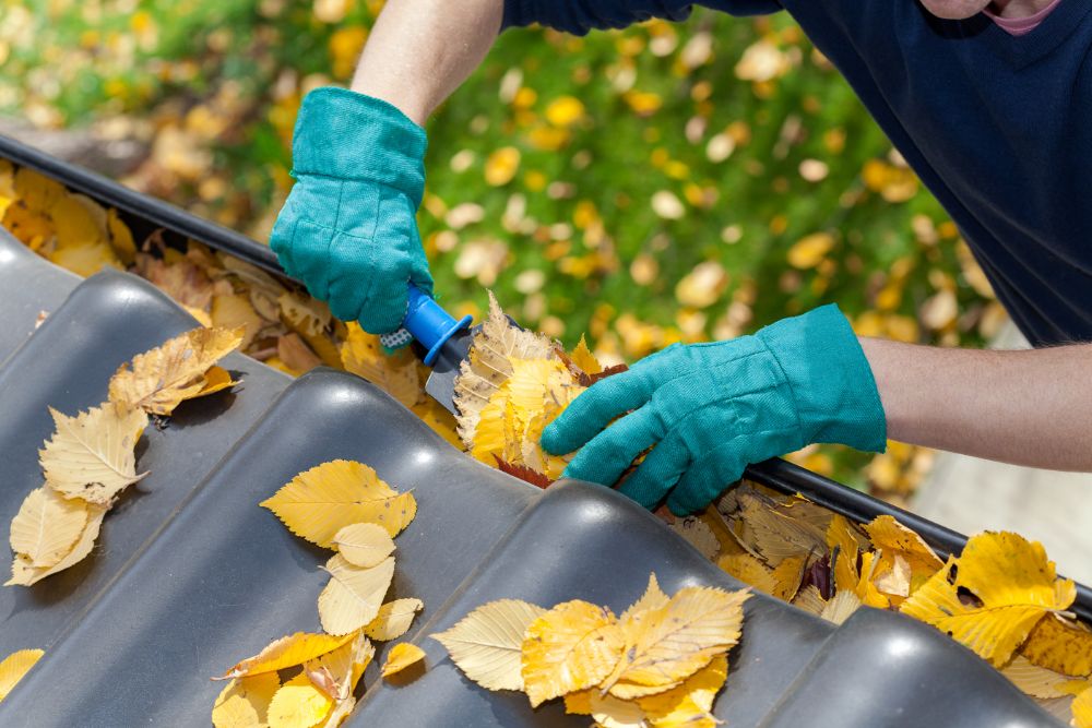 Gutter cleaning Leander TX